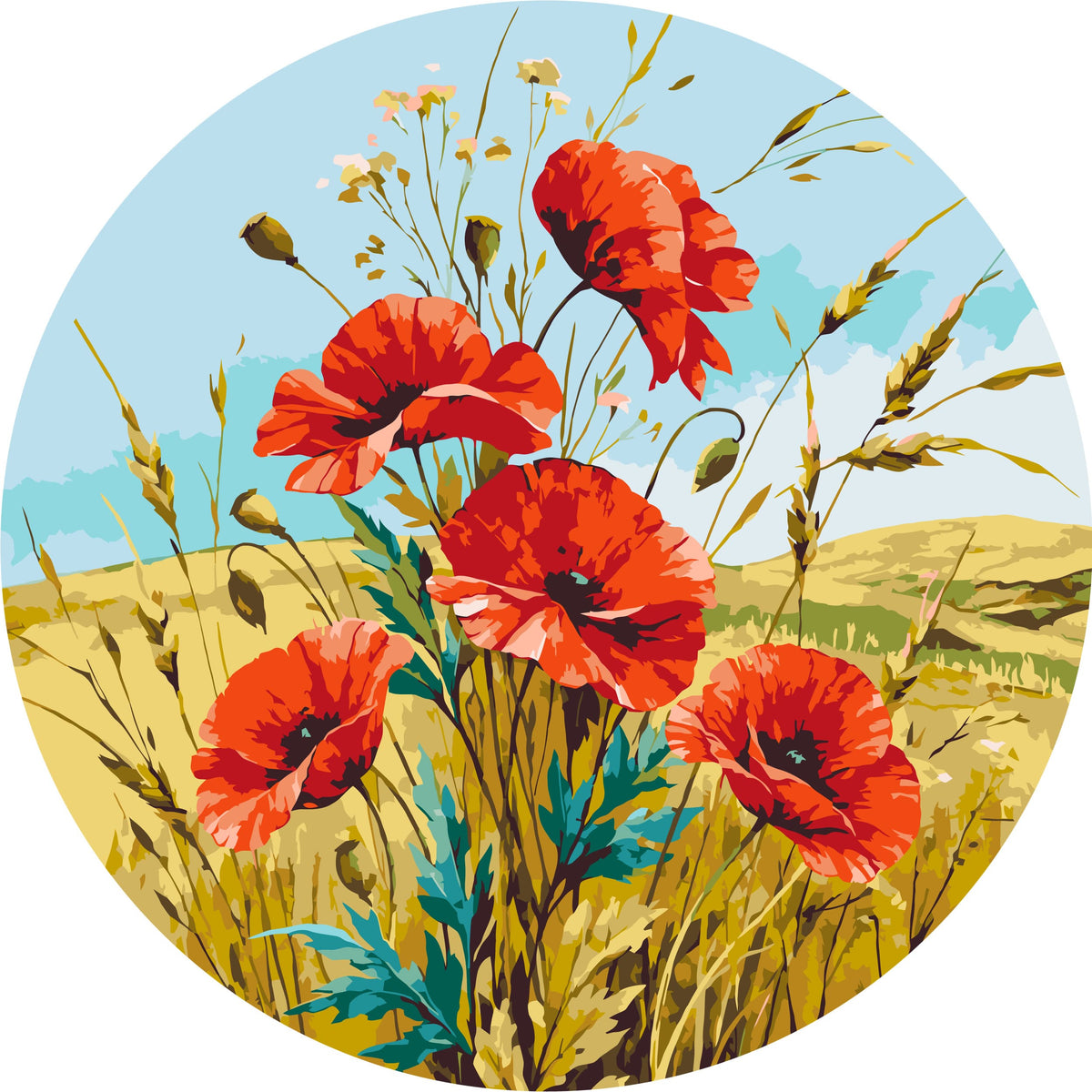 Pictură pe numere rotundă Ø40 cm – Maci roșii de câmp – Flori – OR 2048