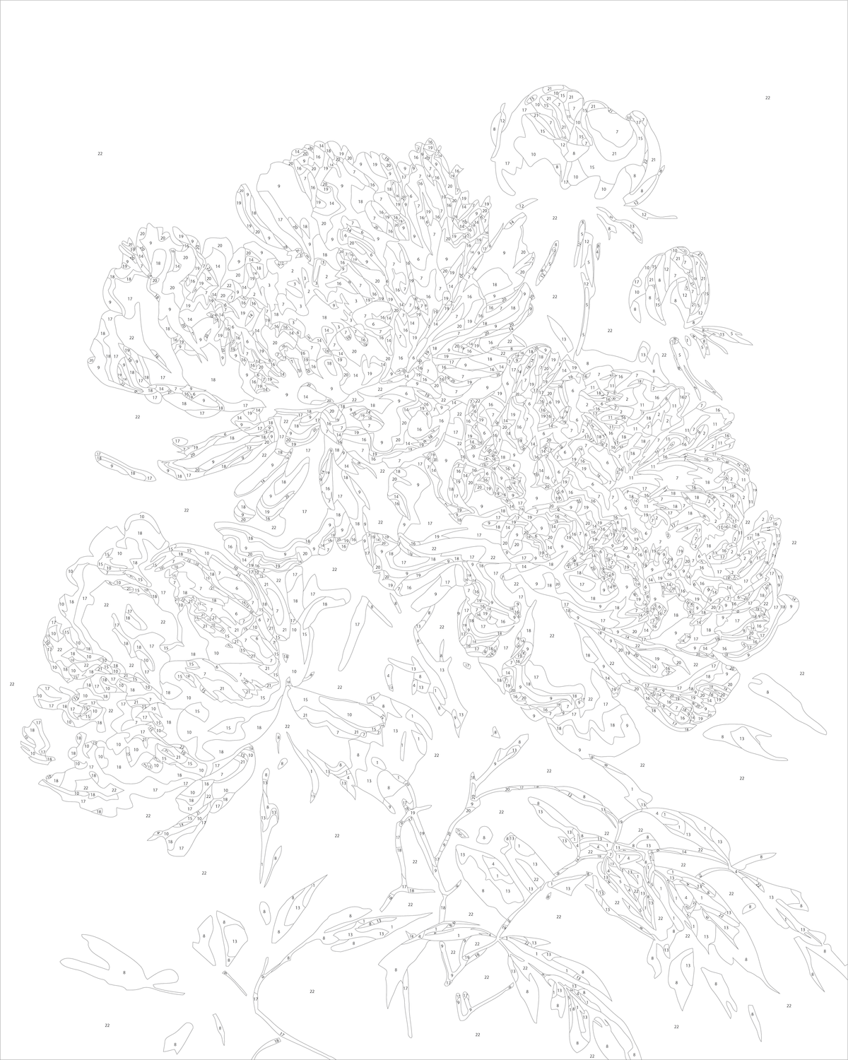 Pictură pe numere pe șasiu 40×50 cm – Bujori pe fundal întunecat – Flori – LW 2003