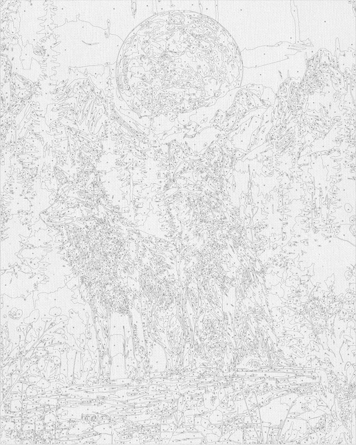 Pictură pe numere pe șasiu 40×50 cm – Pereche de lupi cu culori metalice – Animale/Peisaj – LW 30450