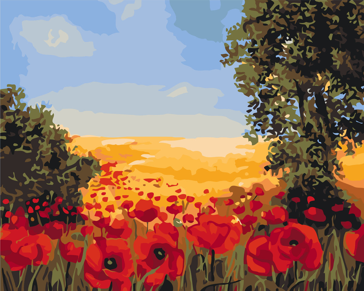 Pictură pe numere pe șasiu 40×50 cm – Maci de câmp – Flori/Peisaj – LW 3131