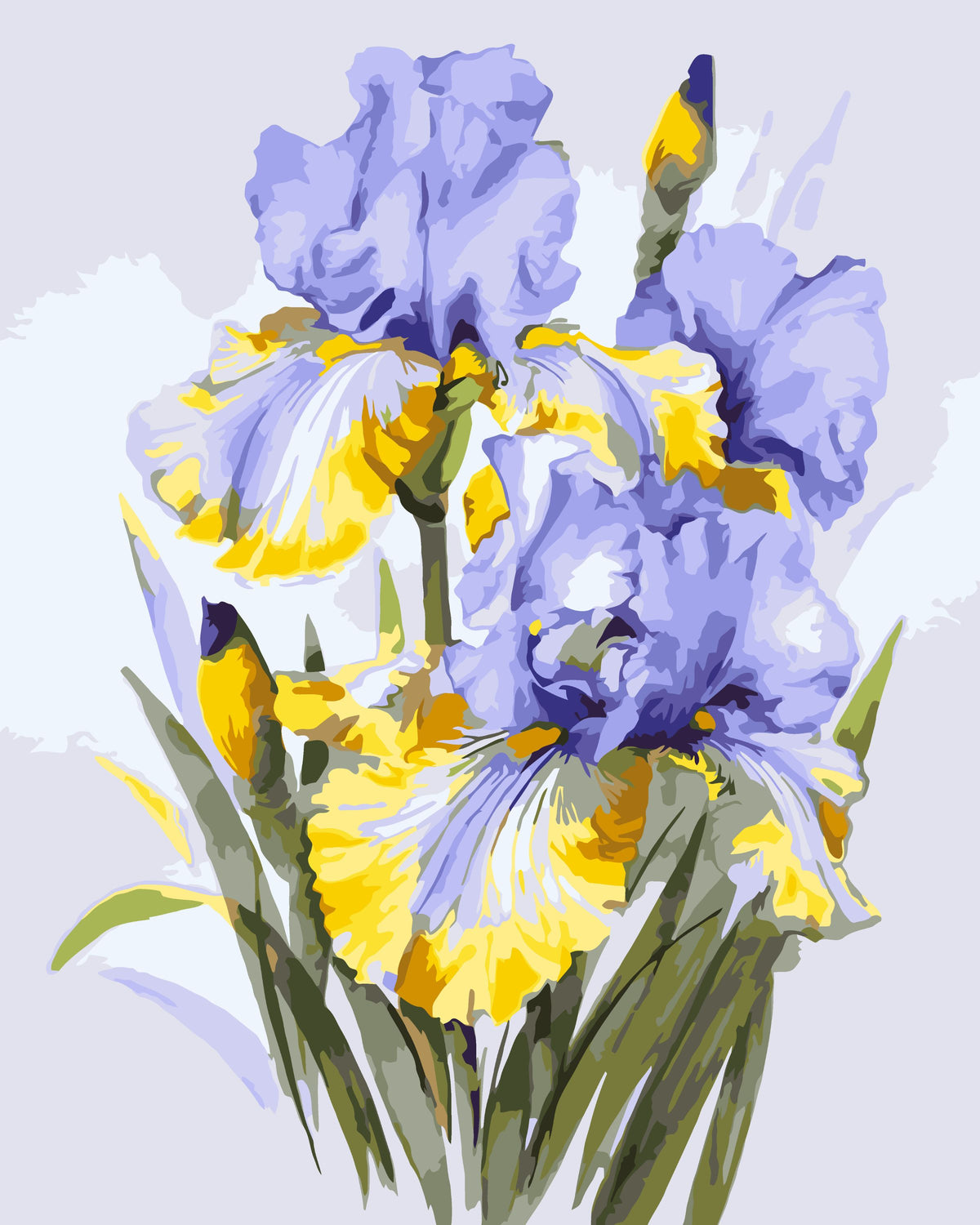 Pictură pe numere pe șasiu 40×50 cm – Buchet de irisi – Flori – LW 31600