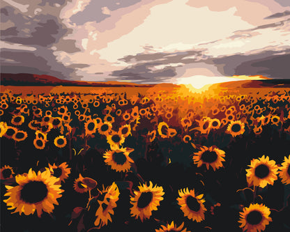 Pictură pe numere pe șasiu 40×50 cm – Câmp de floarea-soarelui – Peisaj/Flori – LW 3175