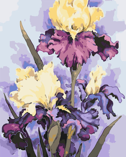 Pictură pe numere pe șasiu 40×50 cm – Iriși de lux – Flori – LW 32040