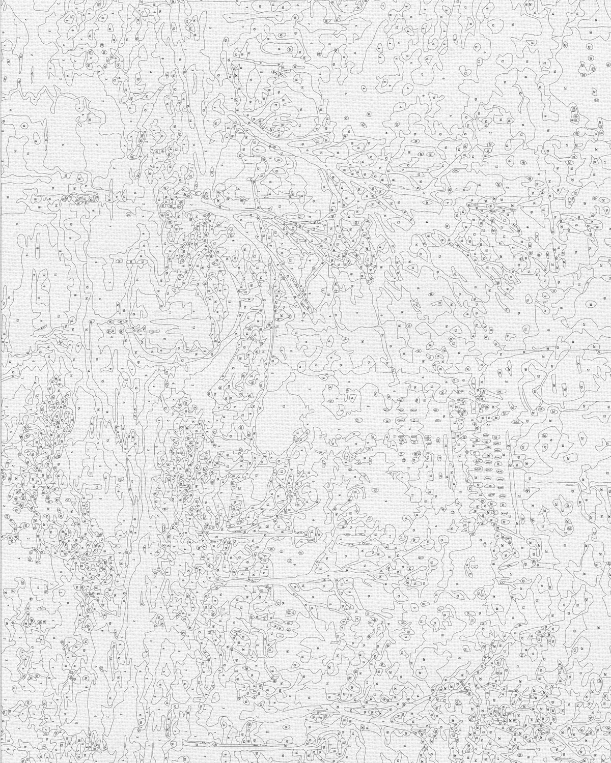 Pictură pe numere pe șasiu 40×50 cm – Central Park din New York – Peisaj – LW 3256