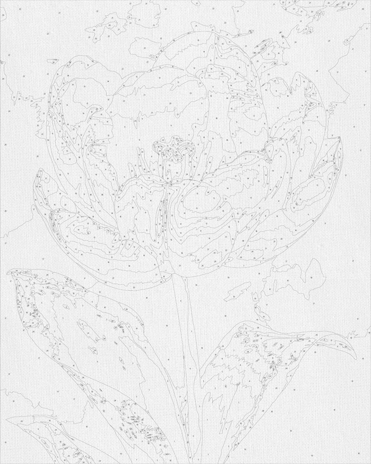 Pictură pe numere pe șasiu 40×50 cm – Bujor alb cu culori metalice – Flori – LW 3305
