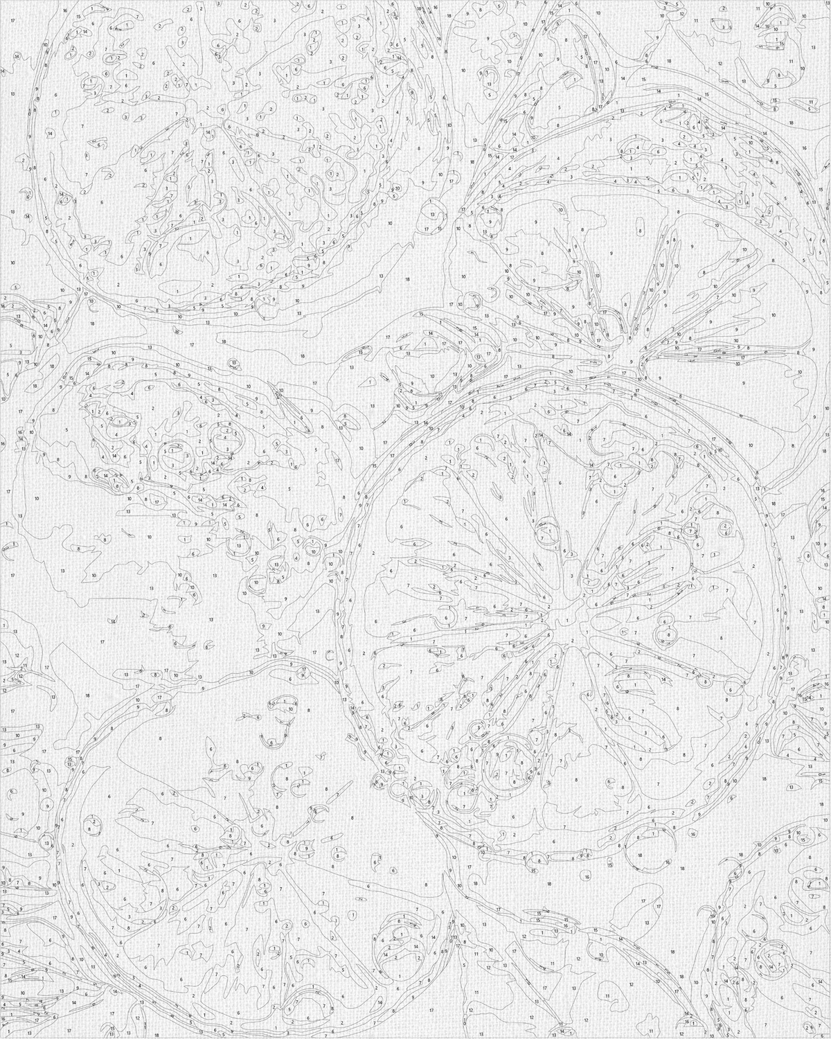 Pictură pe numere pe șasiu 40×50 cm – Lime zemos – Natură statică – LW 3440