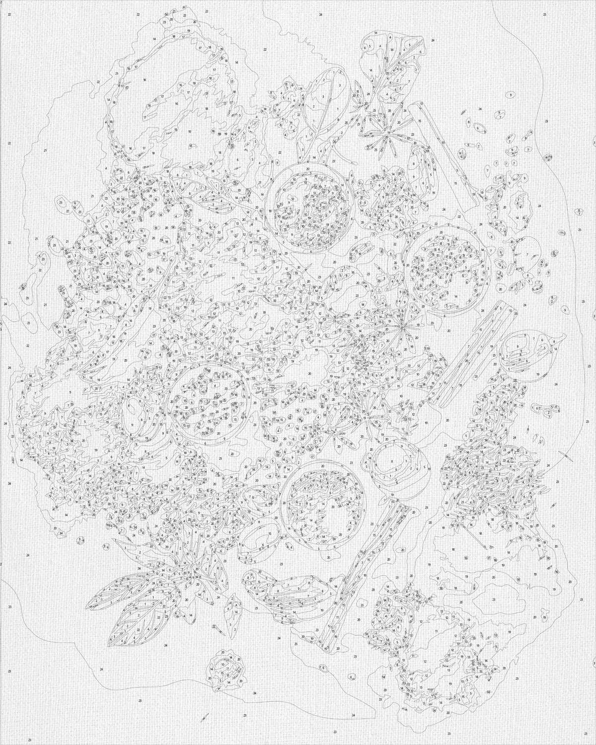 Pictură pe numere pe șasiu 40×50 cm – Condimentele lumii – Natură statică – LW 3451