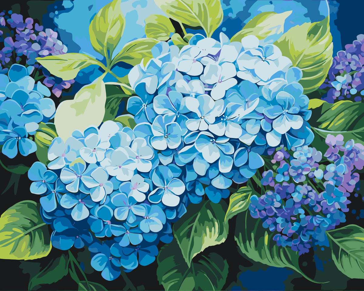 Pictură pe numere – hortensie albastră