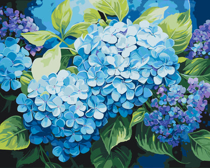 Pictură pe numere pe șasiu 40×50 cm – Hortensie albastră – Flori – LW 3489
