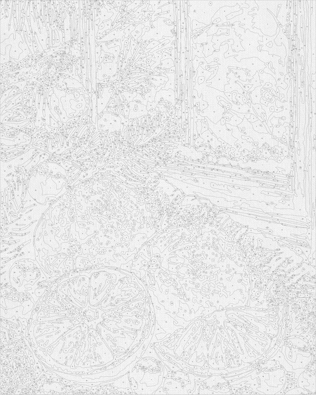 Pictură pe numere pe șasiu 40×50 cm – Natură statică cu citrice – Natură statică/Iarnă/Crăciun – LW 3548