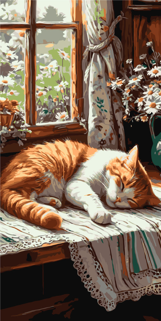 Pictură pe numere – motan roșcat dormind lângă fereastră