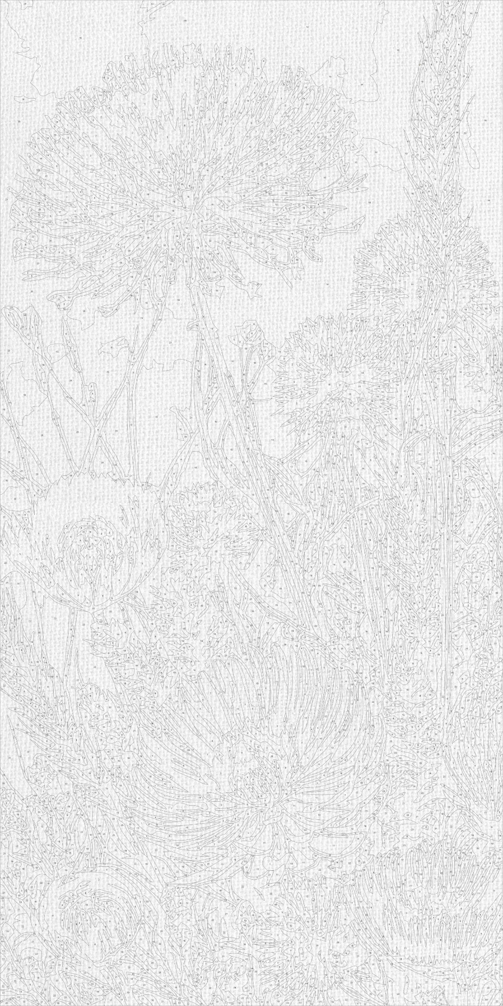 Pictură pe numere pe șasiu 40×80 cm – Flori sălbatice – Flori – LW 5164