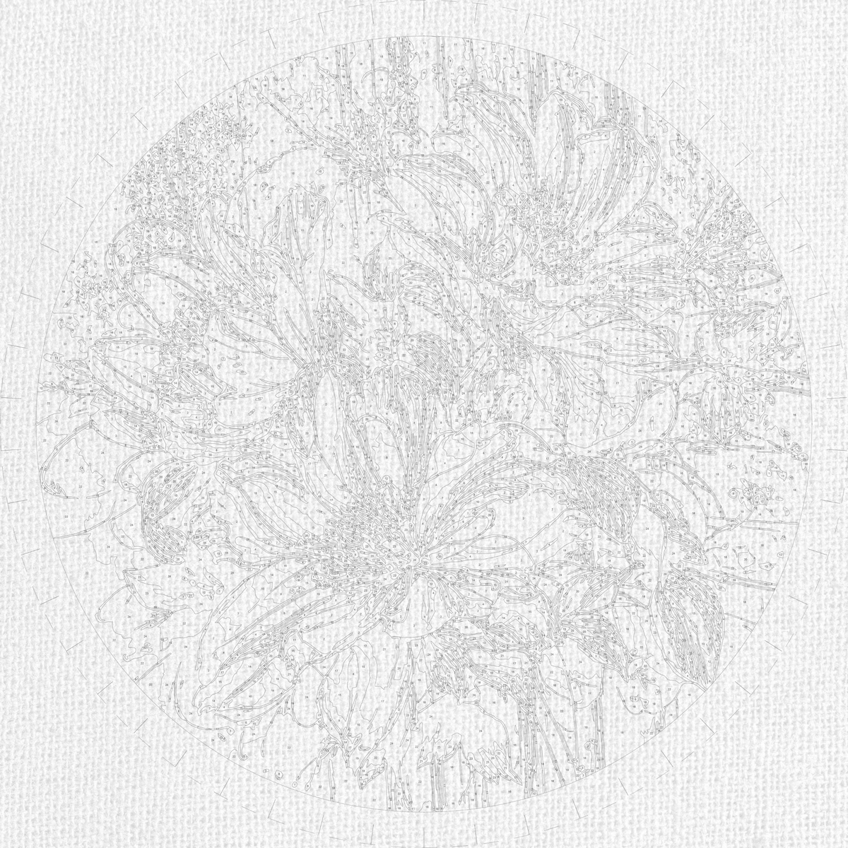 Pictură pe numere rotundă Ø45 cm – Magnolii albe cu culori metalice – Flori – OR 2001