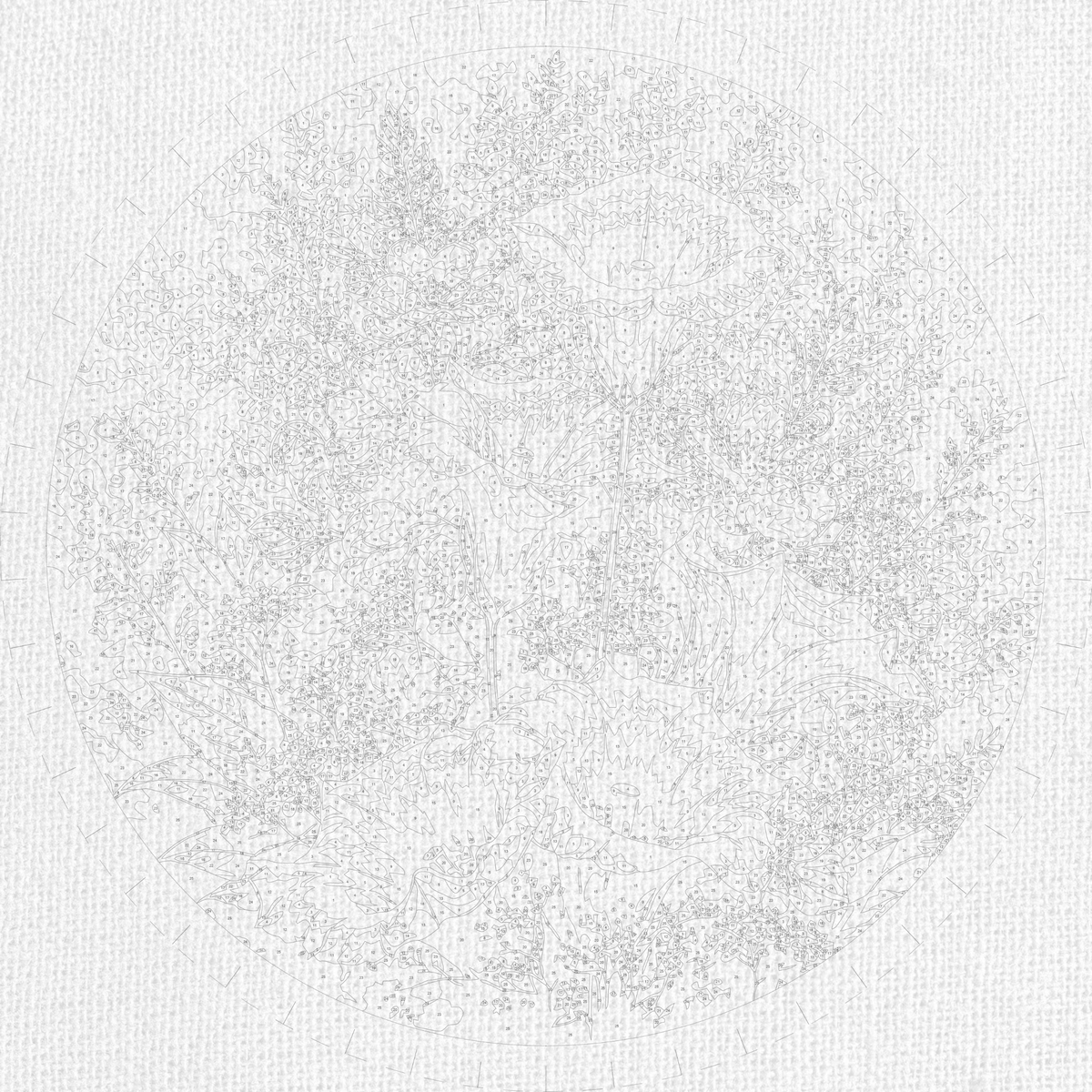 Pictură pe numere rotundă Ø45 cm – Cale patriotice – Flori – OR 2009