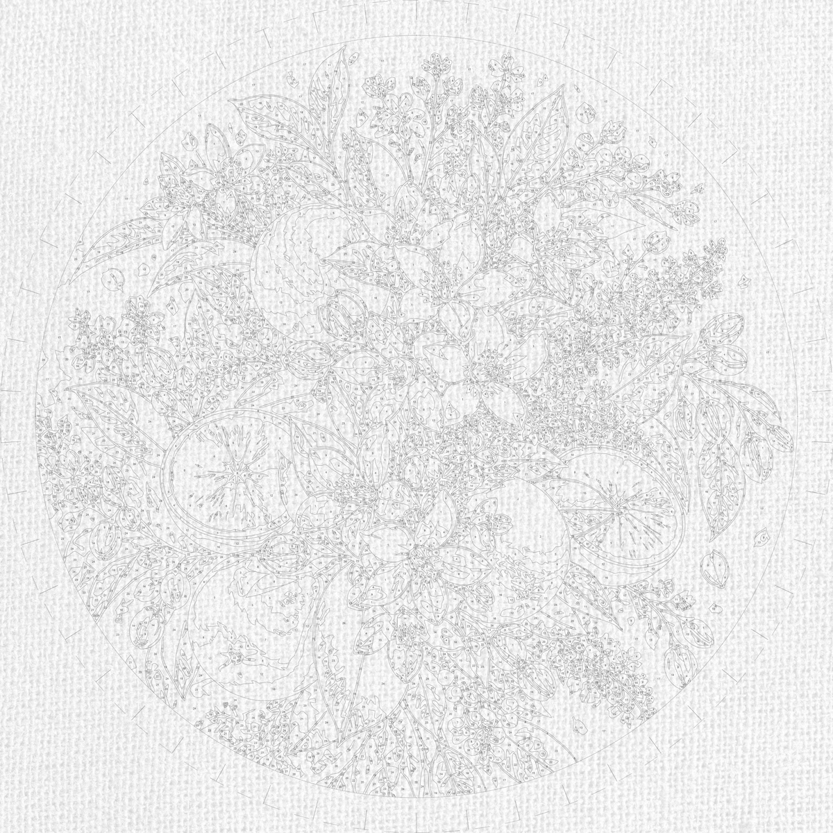 Pictură pe numere rotundă Ø45 cm – Aromă de citrice – Natură statică/Flori – OR 2010