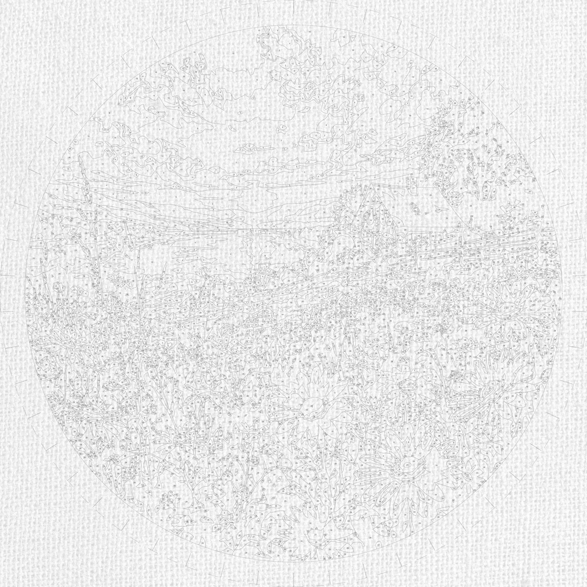 Pictură pe numere rotundă Ø45 cm – Câmp de margarete la apus – Peisaj/Flori – OR 2030