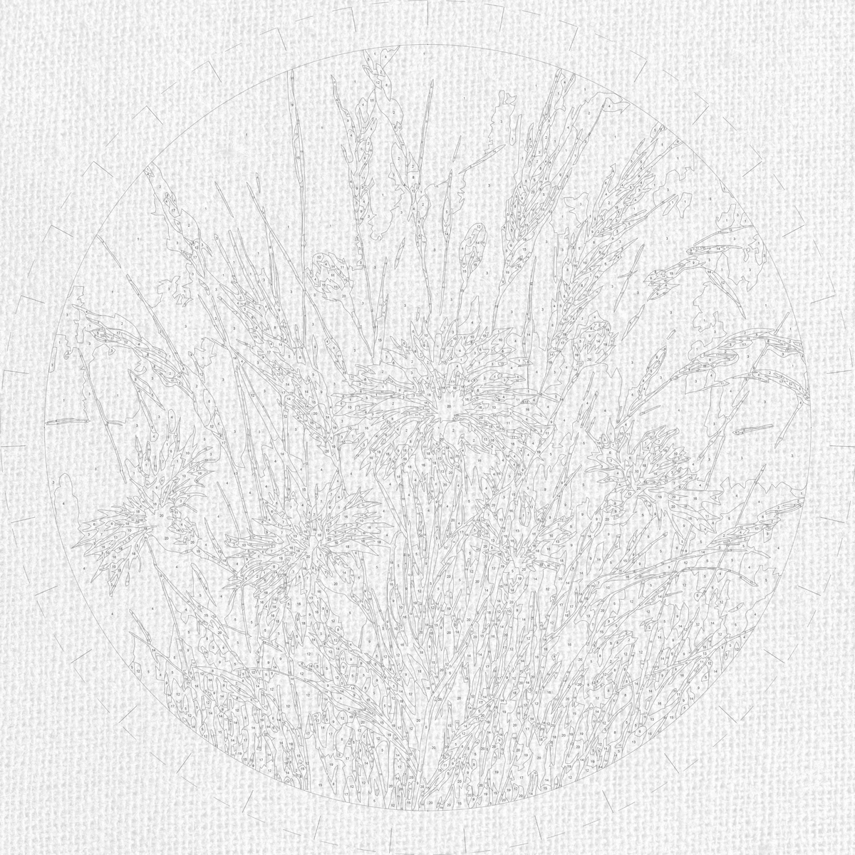 Pictură pe numere rotundă Ø40 cm – Albăstrele de câmp – Flori – OR 2047