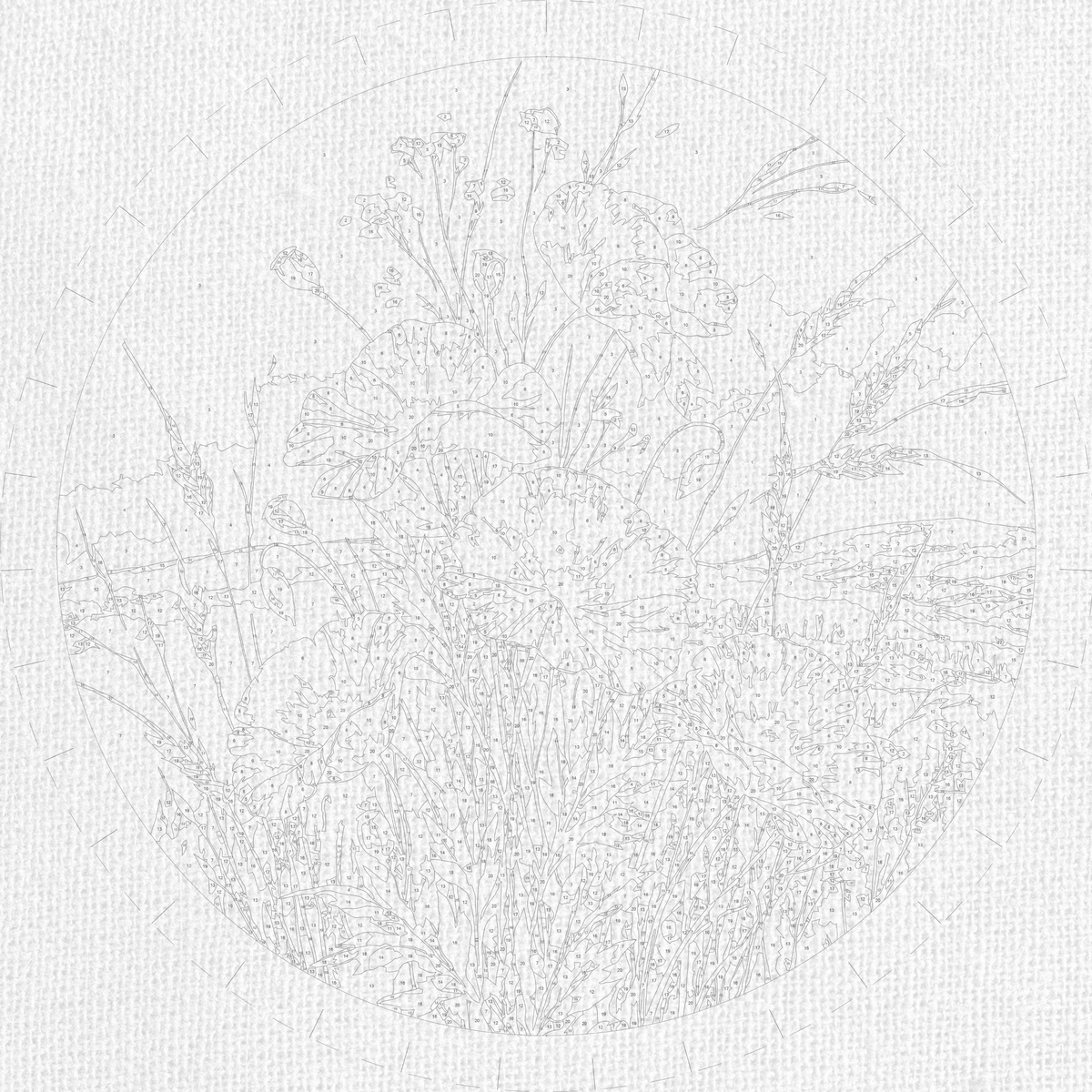 Pictură pe numere rotundă Ø40 cm – Maci roșii de câmp – Flori – OR 2048