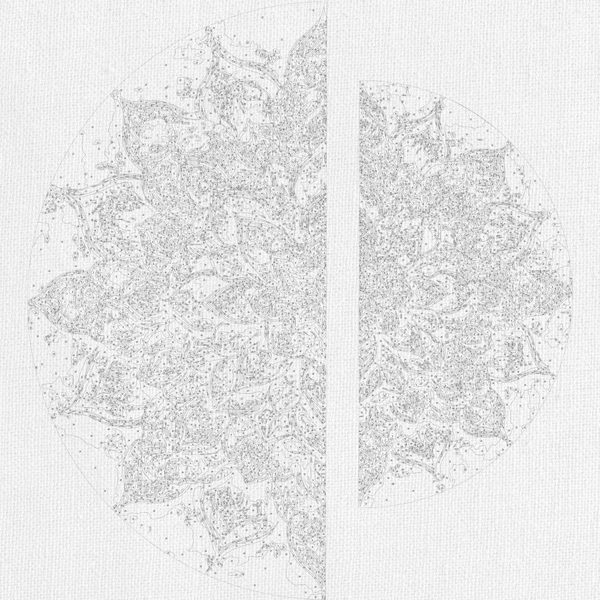 Pictură pe numere pe șasiu ⌀50 cm + ⌀70 cm – Ornamentul strălucirii cu culori metalice – Flori – OSR 1016