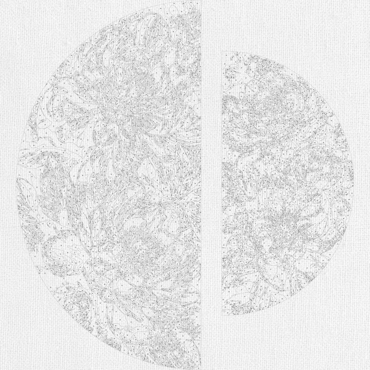 Pictură pe numere pe șasiu ⌀50 cm + ⌀70 cm – Bujori regali cu culori metalice – Flori – OSR 1017